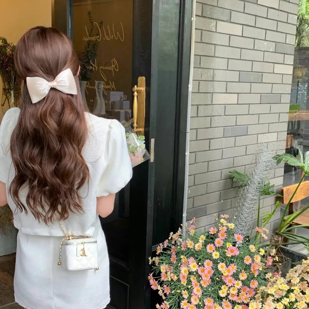 真假维梅尔海报